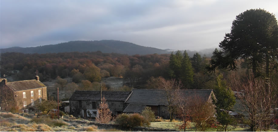 Black Beck Farm